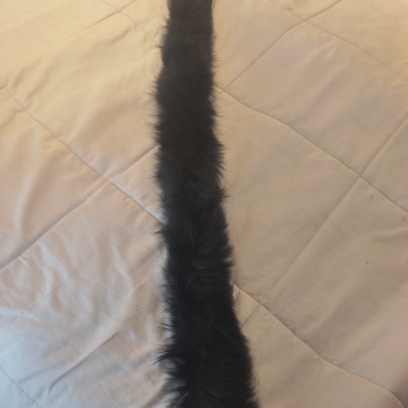 Rudsak HOOD Racoon Fur Removable Trim - Picture 2 of 4